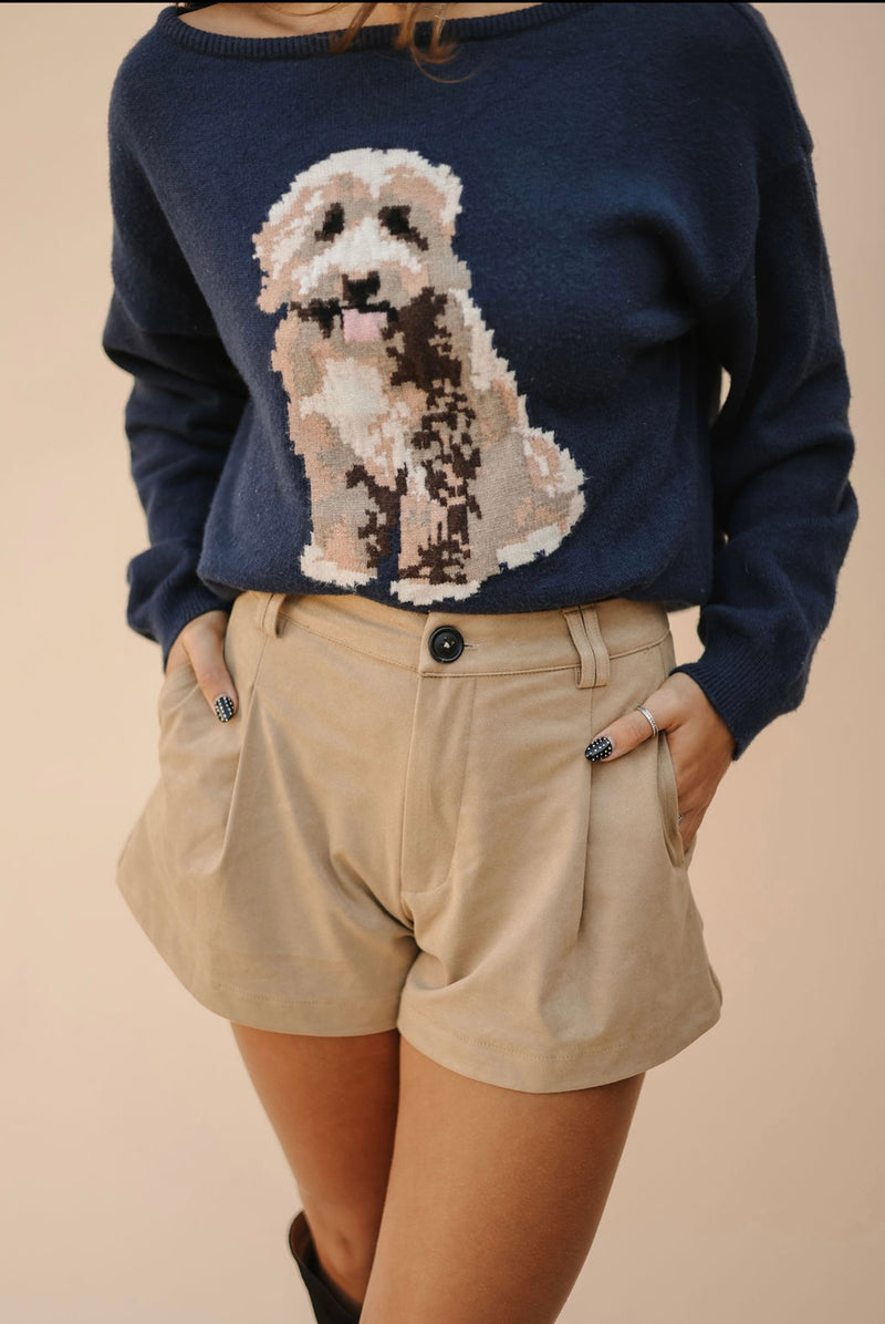 Pleated Suede Shorts