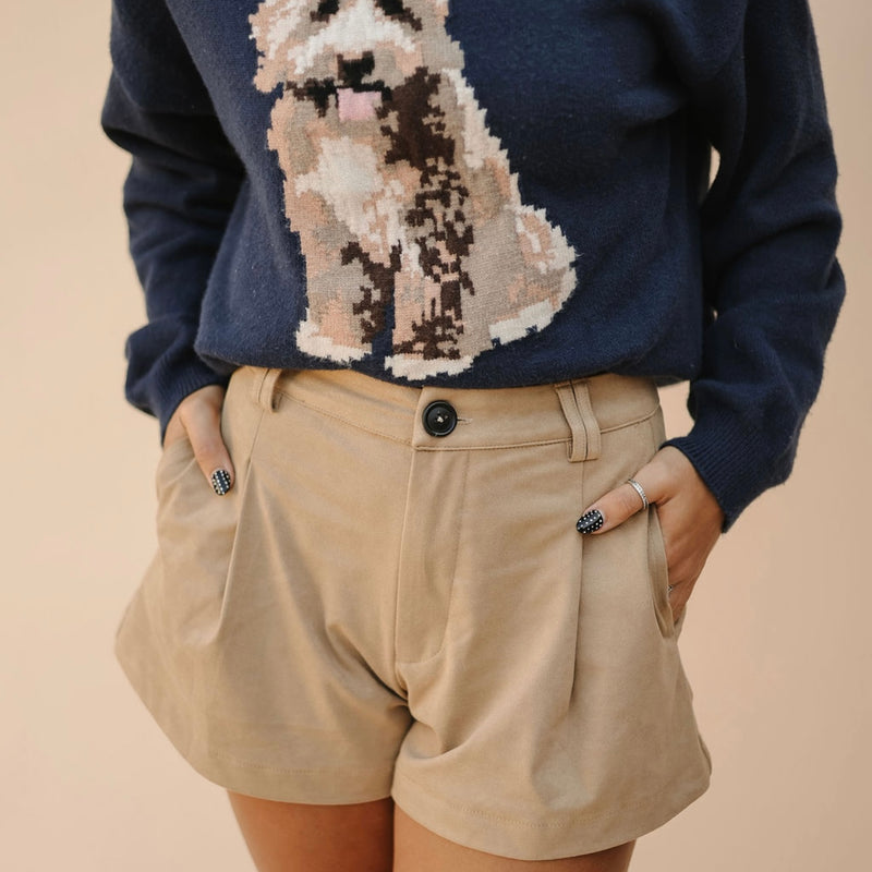 Pleated Suede Shorts